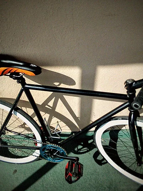 Golden cycles Fixed Gear
