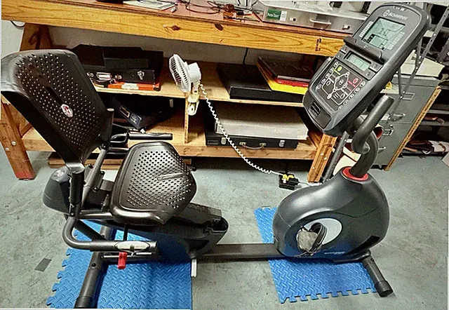 Schwinn Model 270 Recumbent Exercise Bike Black Local DFW Pickup Only